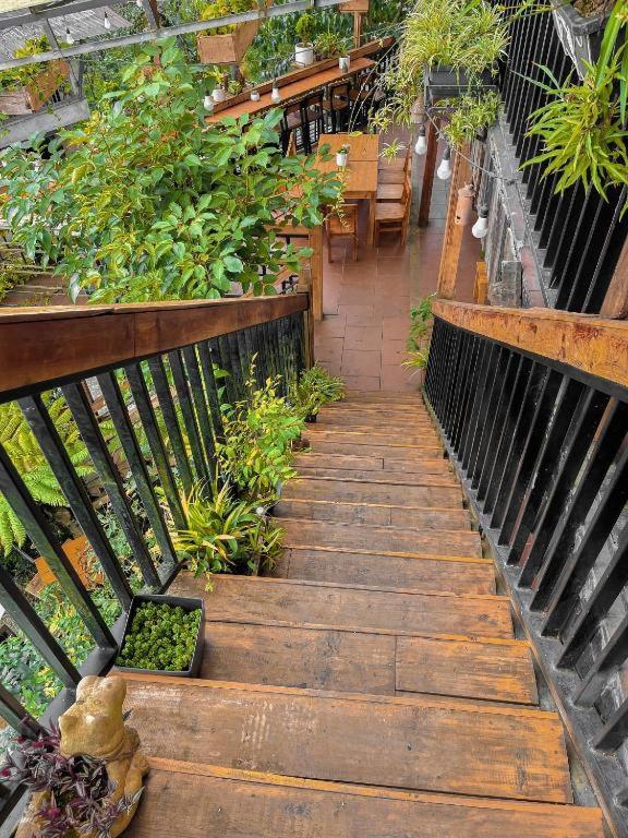 Hillside Sapa Hotel Exterior photo